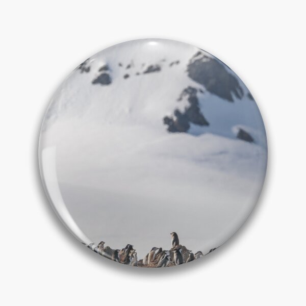 Item preview, Chinstrap Penguin Colony at Half Moon Island designed and sold by PhotoArt by Joan Carroll.