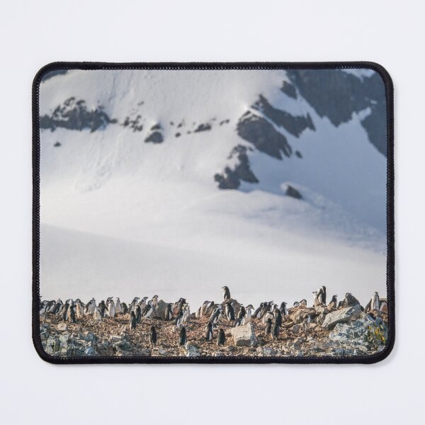 Item preview, Chinstrap Penguin Colony at Half Moon Island designed and sold by PhotoArt by Joan Carroll.