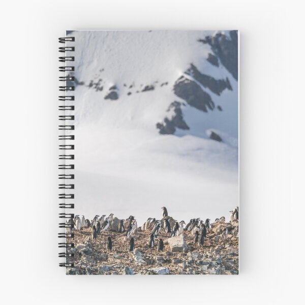 Item preview, Chinstrap Penguin Colony at Half Moon Island designed and sold by PhotoArt by Joan Carroll.