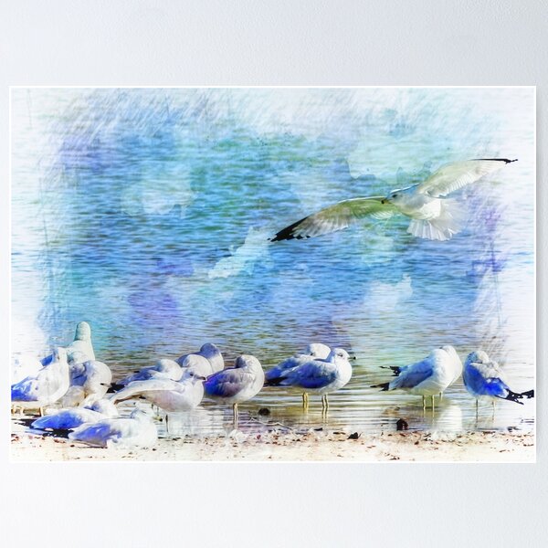 Item preview, Seagulls on the Beach designed and sold by Victor Kilman.