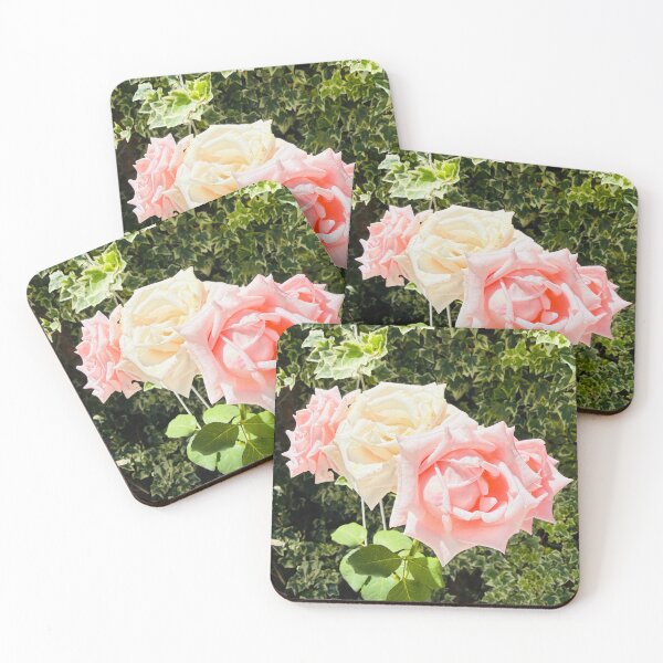 Item preview, Soft Pink and Cream Roses Garden Photography designed and sold by BalkanBloom.