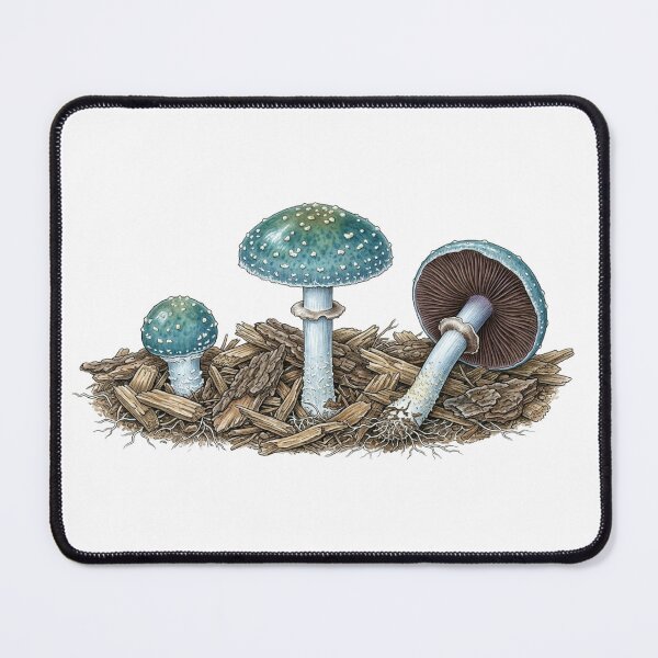 Item preview, Round Blue-Green Mushroom designed and sold by Chaoscience.