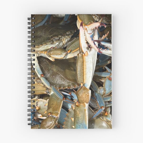 Item preview, Fresh Blue Crabs - Coastal Life Photography designed and sold by Seasons Change.