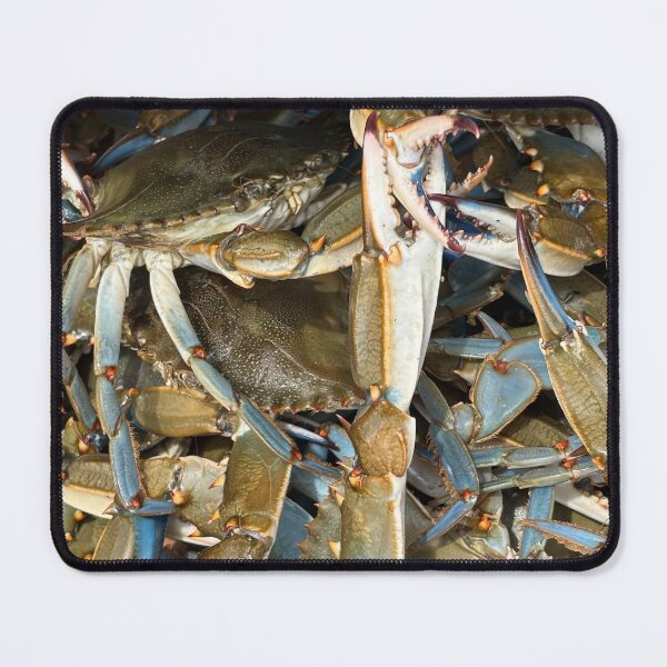 Item preview, Fresh Blue Crabs - Coastal Life Photography designed and sold by Seasons Change.
