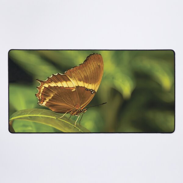 Item preview, Rusty-Tipped Page Butterfly designed and sold by Kay Brewer.