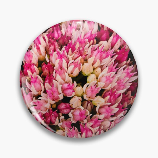 Item preview, A Blanket of Stonecrop designed and sold by Eidetic Photos.