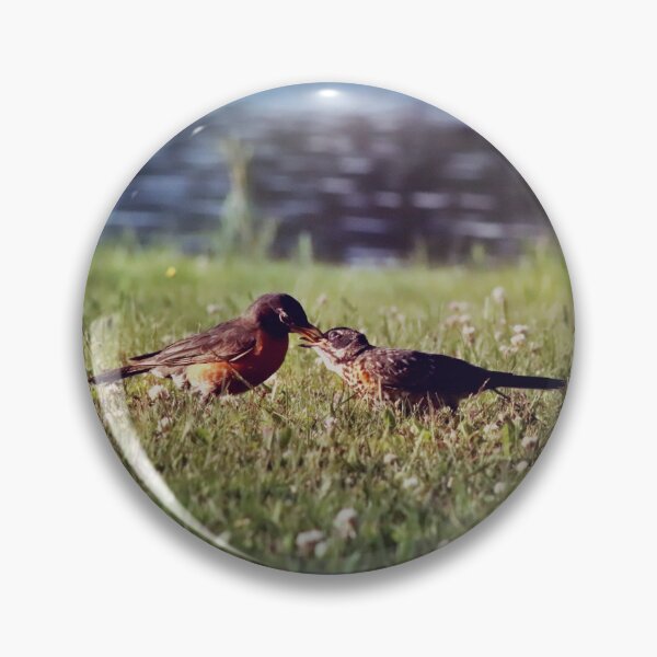 Item preview, American Robins at the Lake designed and sold by ForestWanderersArt.