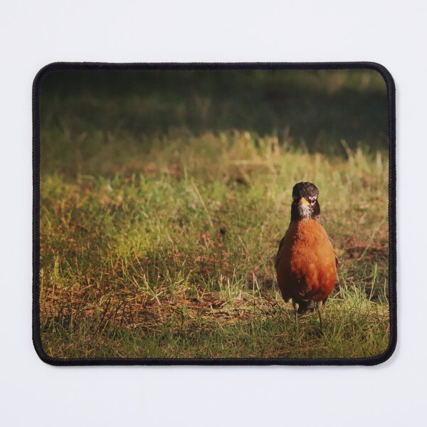 Item preview, Curious American Robin designed and sold by ForestWanderersArt.