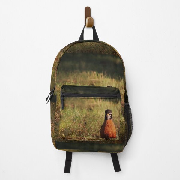 Item preview, Curious American Robin designed and sold by ForestWanderersArt.