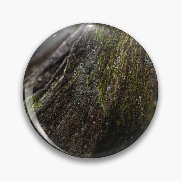 Item preview, Treescape - Trunk designed and sold by LNDphotographic.