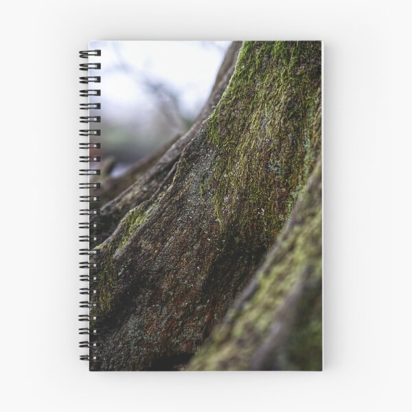 Item preview, Treescape - Trunk designed and sold by LNDphotographic.