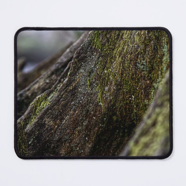 Item preview, Treescape - Trunk designed and sold by LNDphotographic.