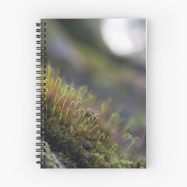 Item preview, Treescape - Spores designed and sold by LNDphotographic.