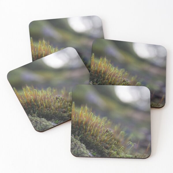 Item preview, Treescape - Spores designed and sold by LNDphotographic.