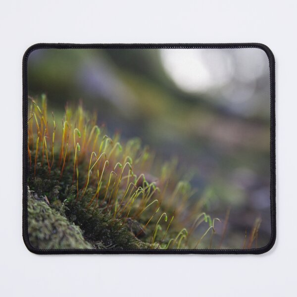 Item preview, Treescape - Spores designed and sold by LNDphotographic.