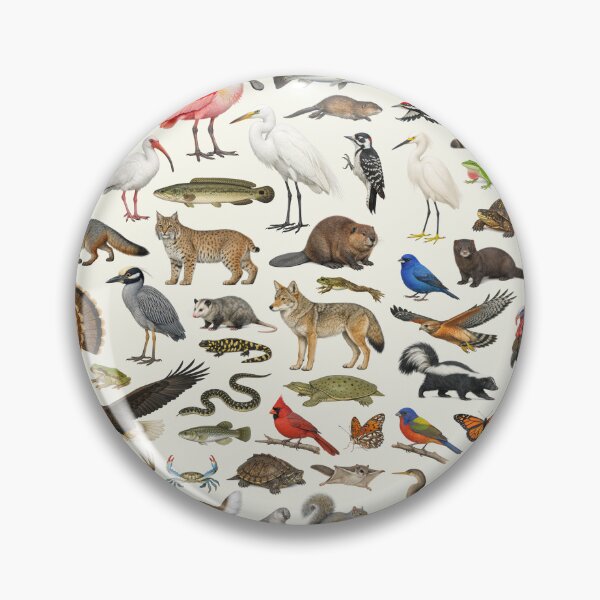 Item preview, Animals of Louisiana Retro Style Identification Chart designed and sold by kakarikihill.