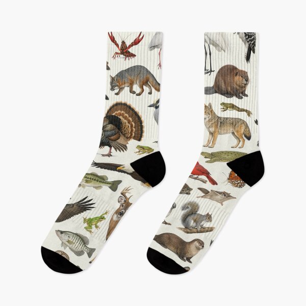 Item preview, Animals of Louisiana Retro Style Identification Chart designed and sold by kakarikihill.