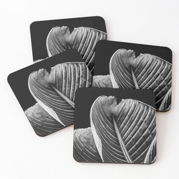 Item preview, Botanical Noir designed and sold by MonochromePics.