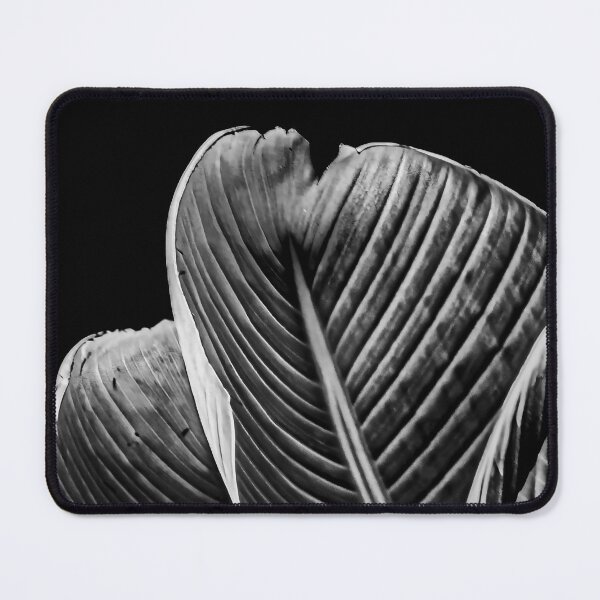 Item preview, Botanical Noir designed and sold by MonochromePics.