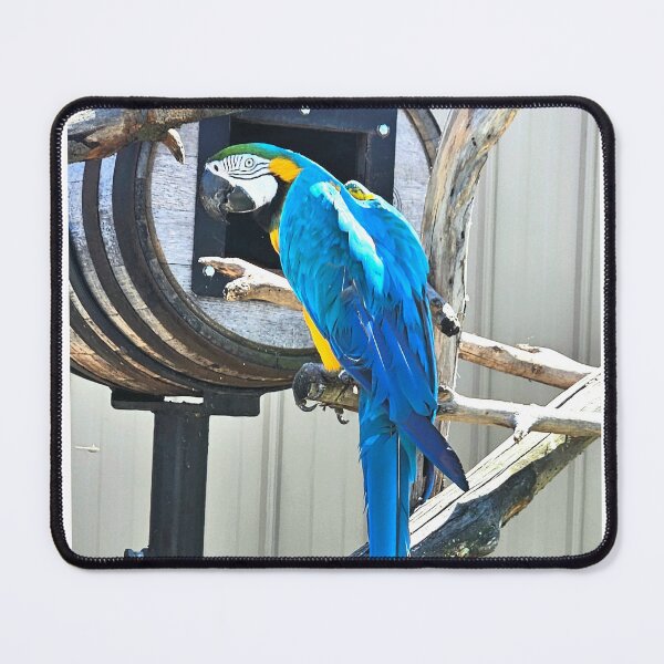 Item preview, vibrant image of a parrot designed and sold by scarlettpic-art.