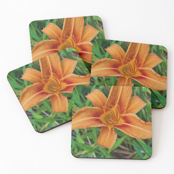 Item preview, Orange Day Lily designed and sold by Rosebughive Photography.