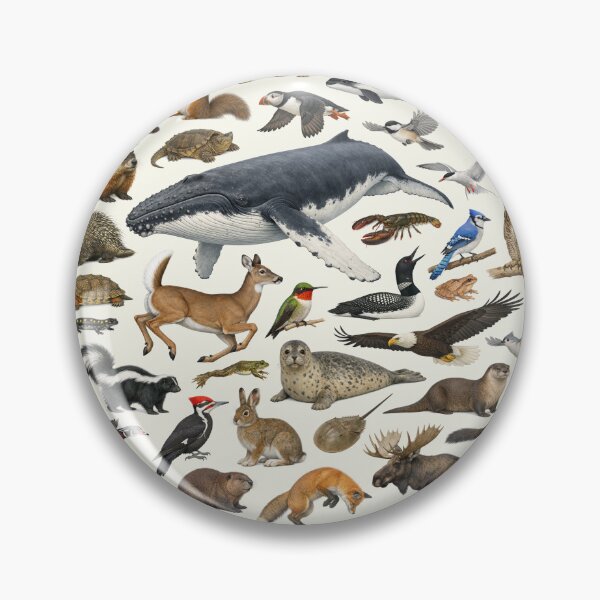 Item preview, Animals of Maine Retro Style Identification Chart designed and sold by kakarikihill.