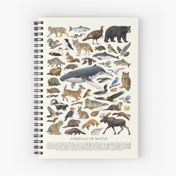 Item preview, Animals of Maine Retro Style Identification Chart designed and sold by kakarikihill.