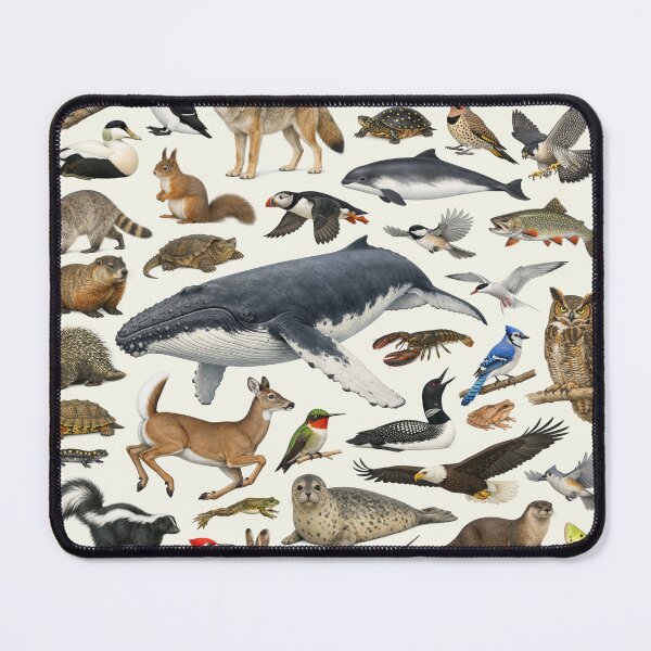 Item preview, Animals of Maine Retro Style Identification Chart designed and sold by kakarikihill.