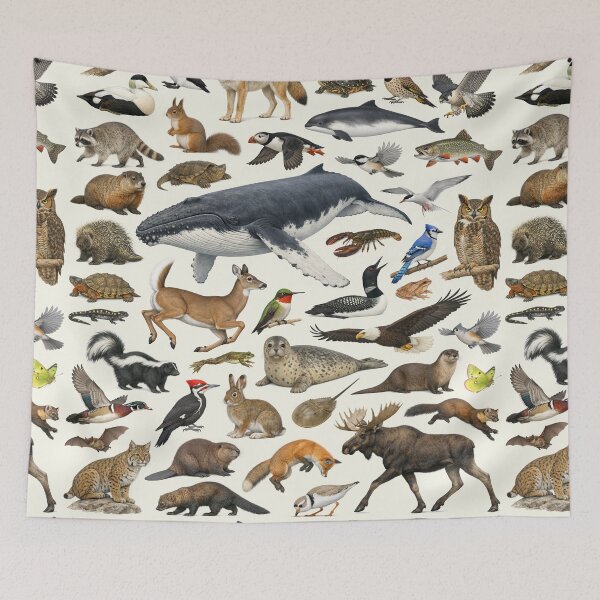 Item preview, Animals of Maine Retro Style Identification Chart designed and sold by kakarikihill.