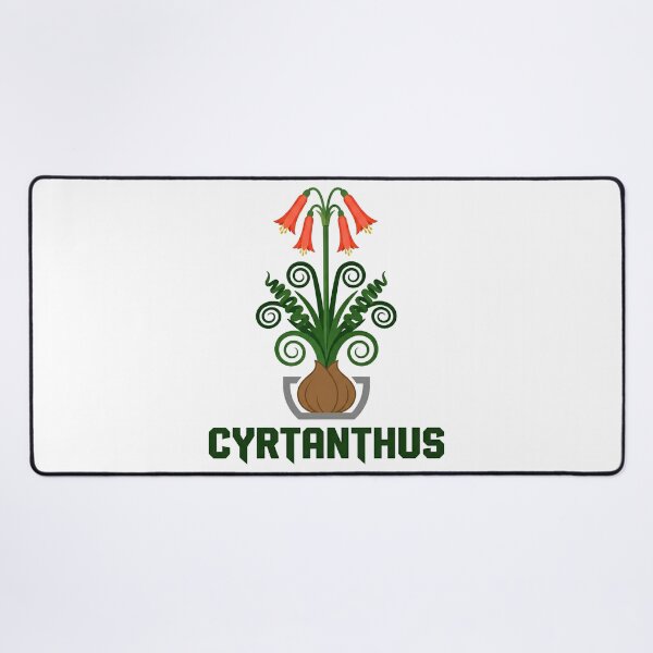Item preview, Minimalist Cyrtanthus Spiralis Botanical Typography Graphic designed and sold by GreenDivisionJP.