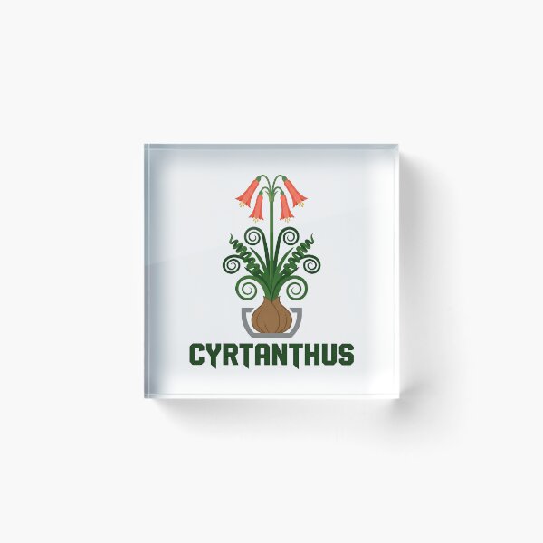 Item preview, Minimalist Cyrtanthus Spiralis Botanical Typography Graphic designed and sold by GreenDivisionJP.