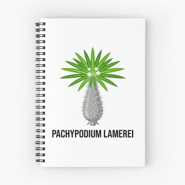 Item preview, Minimalist Pachypodium Lamerei Vector Graphic - Bold Caudex Art designed and sold by GreenDivisionJP.