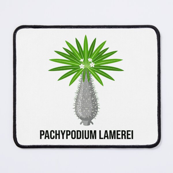 Item preview, Minimalist Pachypodium Lamerei Vector Graphic - Bold Caudex Art designed and sold by GreenDivisionJP.