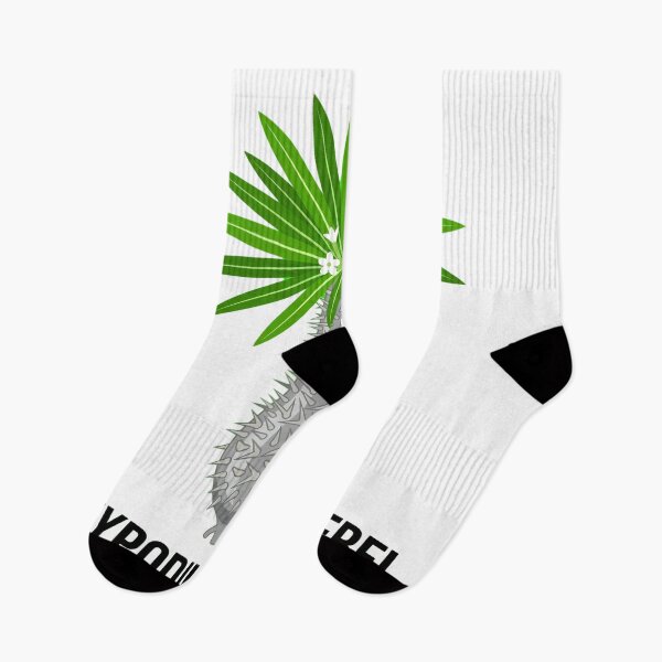 Item preview, Minimalist Pachypodium Lamerei Vector Graphic - Bold Caudex Art designed and sold by GreenDivisionJP.