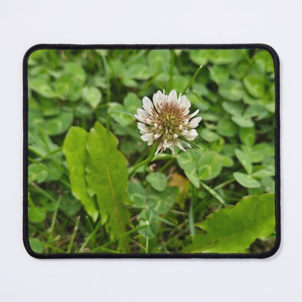 Item preview, Gorgeous flower designed and sold by scarlettpic-art.