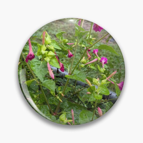Item preview, Dragonfly Resting on Wildflowers. designed and sold by Pearls1.