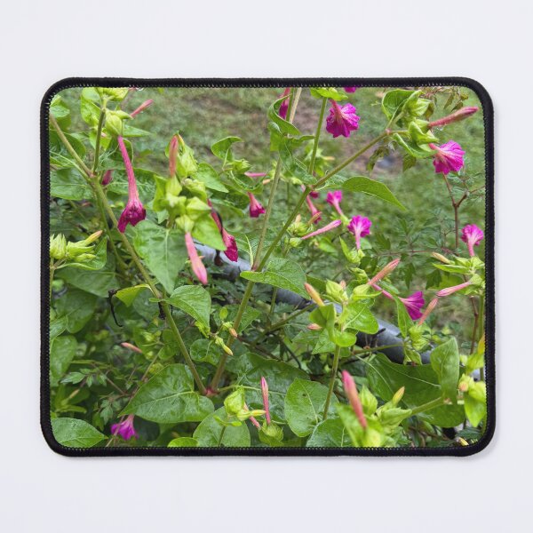 Item preview, Dragonfly Resting on Wildflowers. designed and sold by Pearls1.
