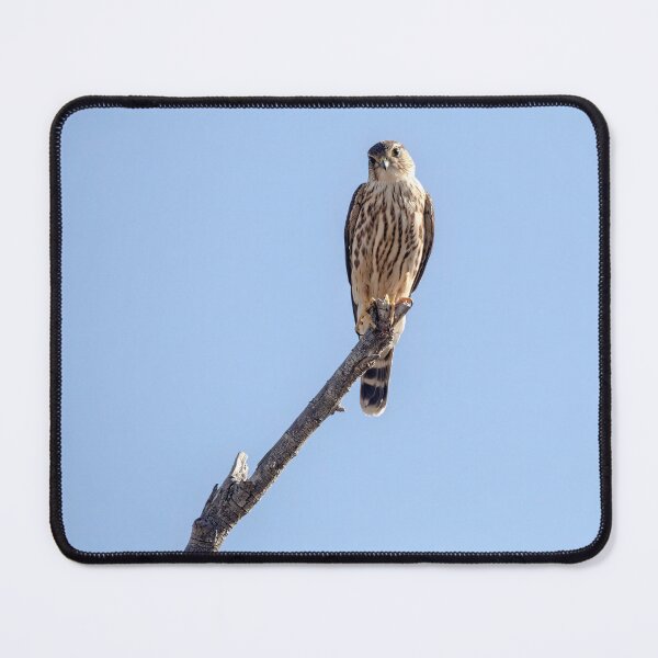 Item preview, Merlin on Twig designed and sold by CarolM.