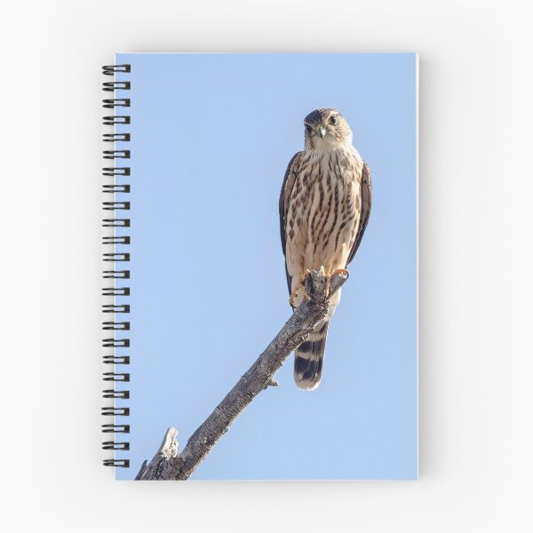 Item preview, Merlin on Twig designed and sold by CarolM.