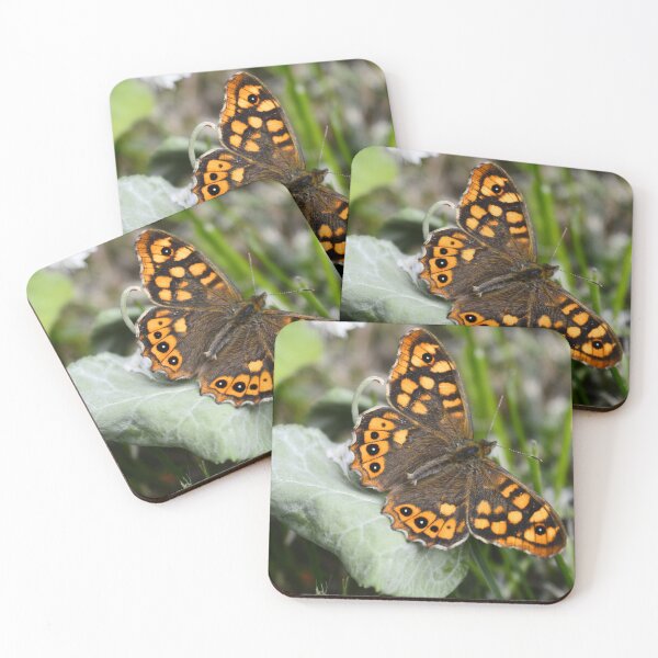 Item preview, Tiger butterfly designed and sold by XaviFotografia.
