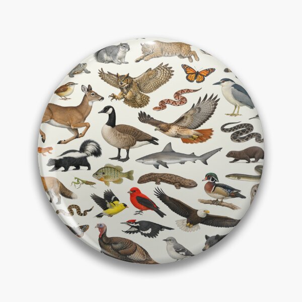 Item preview, Animals of Maryland Retro Style Identification Chart designed and sold by kakarikihill.
