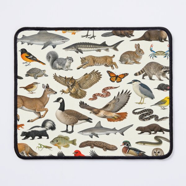 Item preview, Animals of Maryland Retro Style Identification Chart designed and sold by kakarikihill.