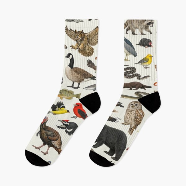 Item preview, Animals of Maryland Retro Style Identification Chart designed and sold by kakarikihill.