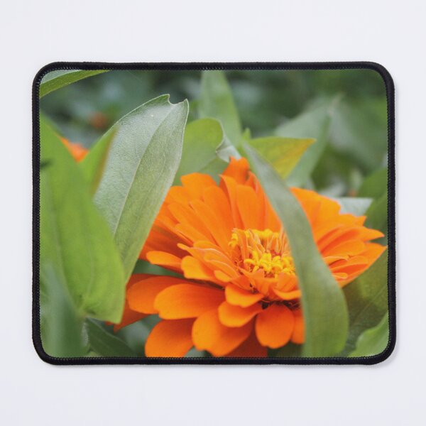 Item preview, Orange Flower designed and sold by xxmultifxndomx.