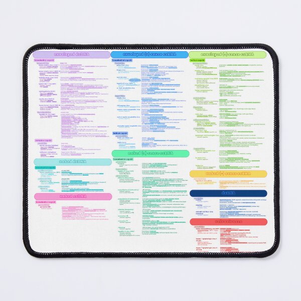 Item preview, all viruses chart designed and sold by saripel123.