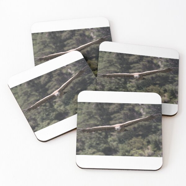 Item preview, Vulture gliding designed and sold by XaviFotografia.