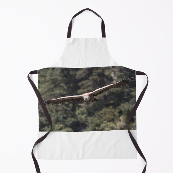 Item preview, Vulture gliding designed and sold by XaviFotografia.