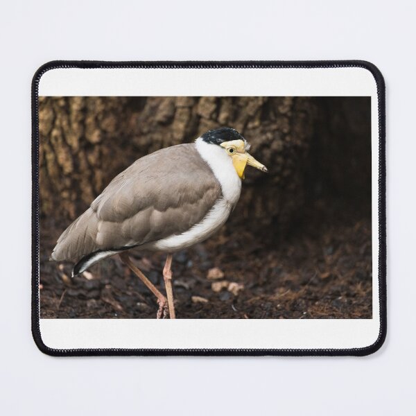 Item preview, Bird designed and sold by XaviFotografia.