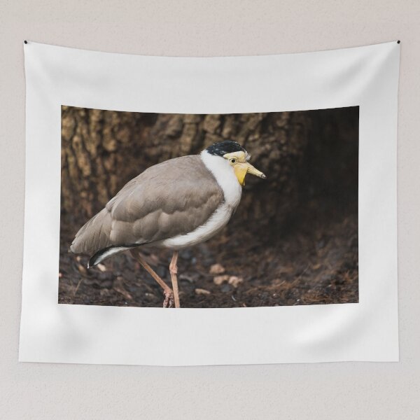Item preview, Bird designed and sold by XaviFotografia.