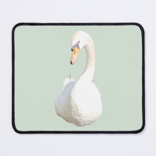 Item preview, Elegant Beautiful Peaceful White Swan on Water Photo designed and sold by Deep Descent.